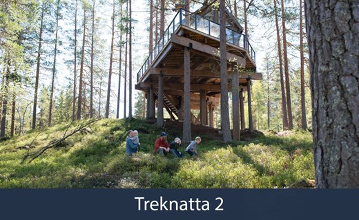 Treknatta2bilde (2)