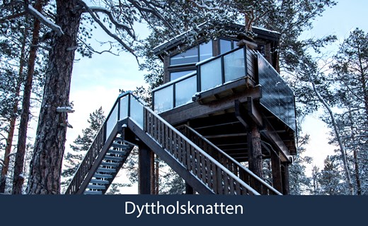 Dyttholsknattenbilde (1)